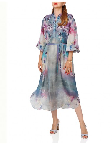 Dreams silk chiffon dress